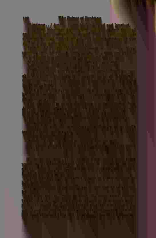 The Prince of Darkness - _387.jpg