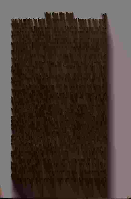 The Prince of Darkness - _301.jpg