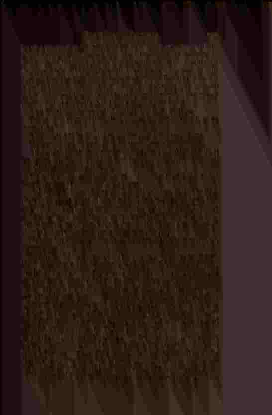 The Prince of Darkness - _516.jpg