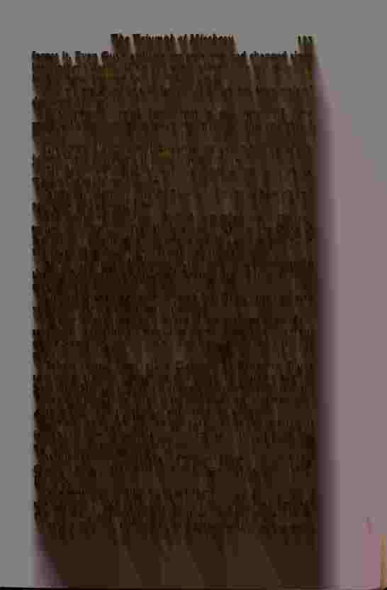 The Prince of Darkness - _273.jpg