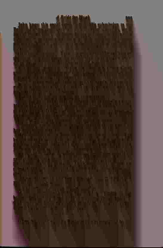 The Prince of Darkness - _592.jpg