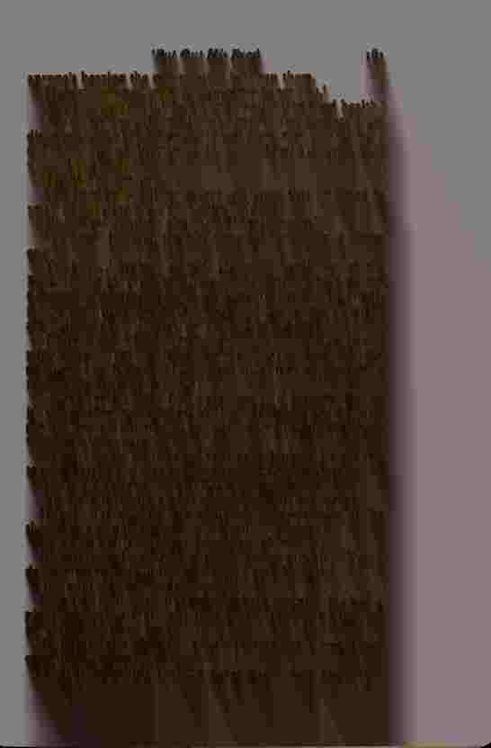 The Prince of Darkness - _325.jpg