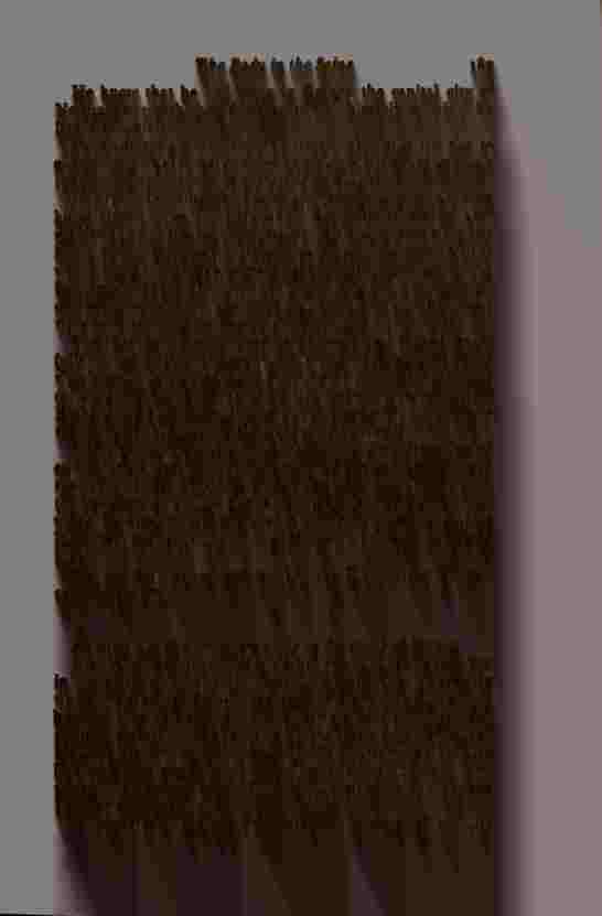 The Prince of Darkness - _377.jpg