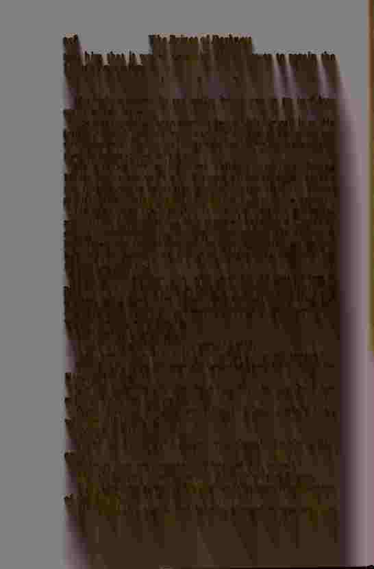 The Prince of Darkness - _598.jpg