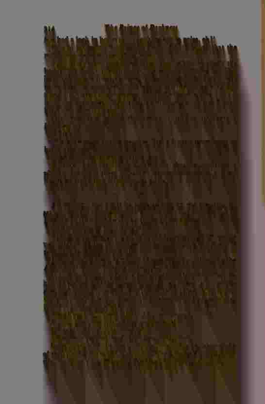 The Prince of Darkness - _630.jpg