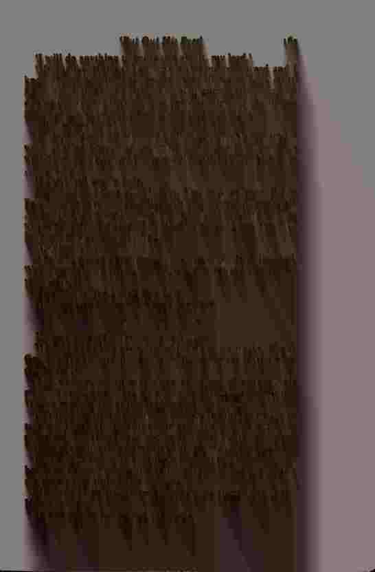 The Prince of Darkness - _329.jpg