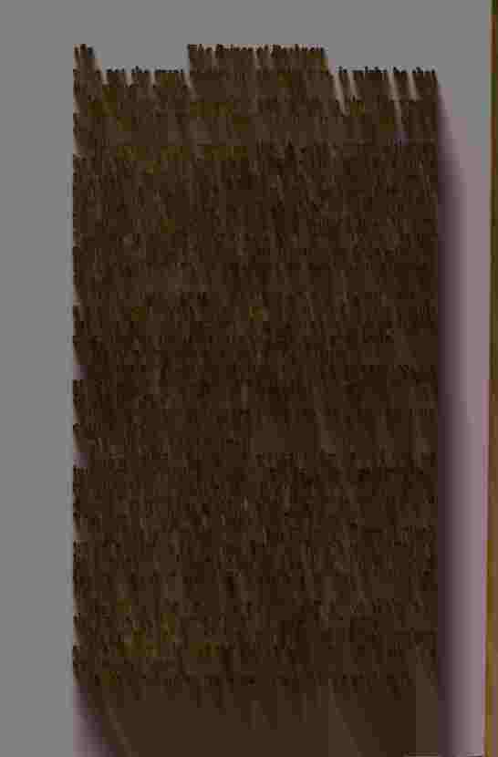 The Prince of Darkness - _367.jpg