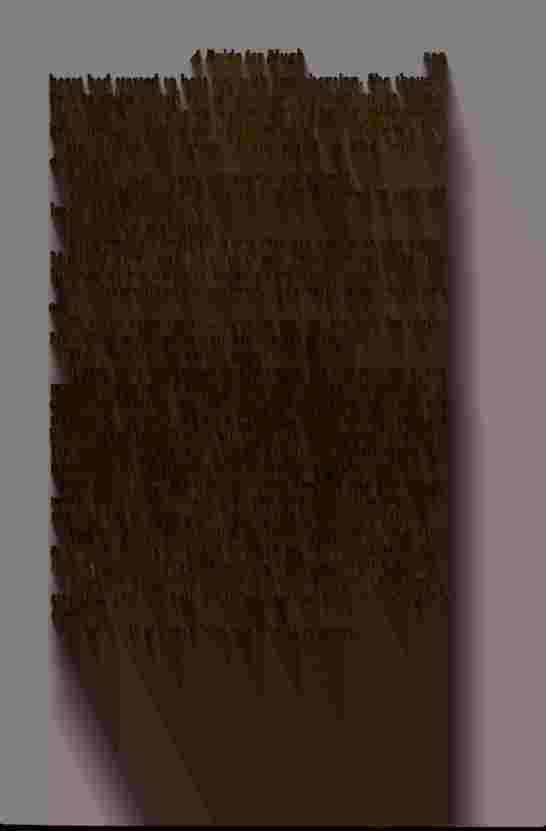 The Prince of Darkness - _600.jpg