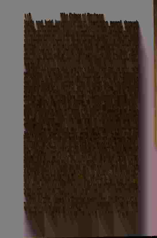 The Prince of Darkness - _239.jpg