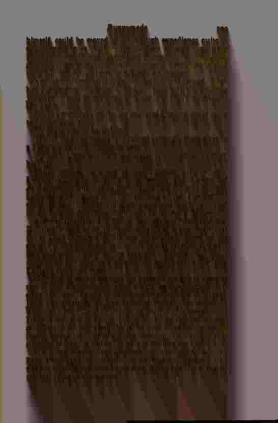 The Prince of Darkness - _620.jpg