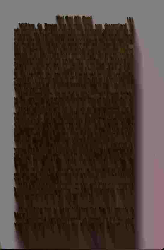 The Prince of Darkness - _305.jpg