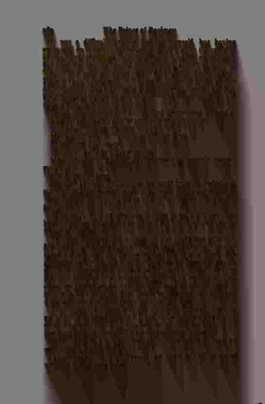 The Prince of Darkness - _522.jpg