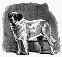 My First Book - img_59.png