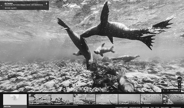 Работа рулит! Почему большинство людей в мире хотят работать именно в Google  - _7.jpg