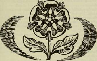 The Star of Lancaster - _13.jpg