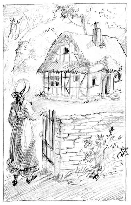 Семь молоденьких девиц, или Дом вверх дном - i_005.jpg