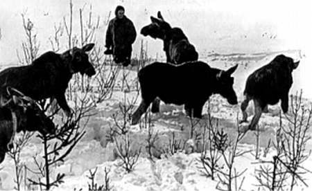 Полное собрание сочинений. Том 16. В час высокой воды - _108.jpg