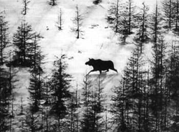 Полное собрание сочинений. Том 15. Чудеса лунной ночи - _20.jpg