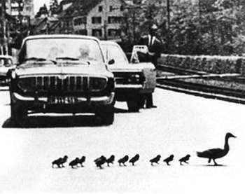 Полное собрание сочинений. Том 15. Чудеса лунной ночи - _24.jpg