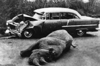 Полное собрание сочинений. Том 15. Чудеса лунной ночи - _25.jpg