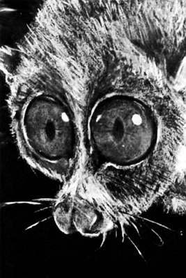 Полное собрание сочинений. Том 15. Чудеса лунной ночи - _31.jpg_0