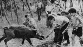 Полное собрание сочинений. Том 15. Чудеса лунной ночи - _35.jpg_0