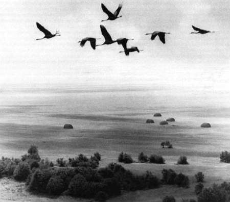 Полное собрание сочинений. Том 15. Чудеса лунной ночи - _49.jpg