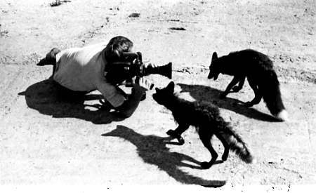 Полное собрание сочинений. Том 15. Чудеса лунной ночи - _61.jpg