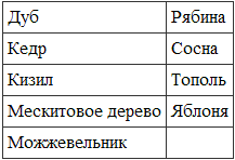 Викканская магия. Настольная книга современной ведьмы - i_017.png