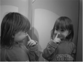 Иллюзия «Я», или Игры, в которые играет с нами мозг - i_005.jpg