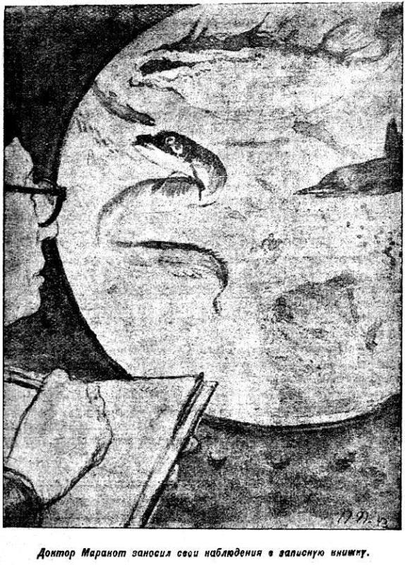 Маракотова бездна (Иллюстрации П. Павлинова) - pic_3.jpg