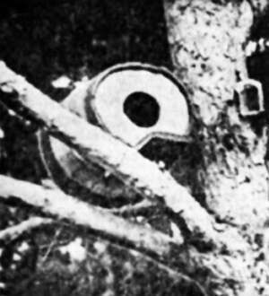 Полное собрание сочинений. Том 17. Зимние перезвоны - _07.jpg