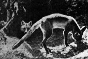 Полное собрание сочинений. Том 17. Зимние перезвоны - _14.jpg