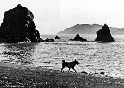 Полное собрание сочинений. Том 17. Зимние перезвоны - _86.jpg