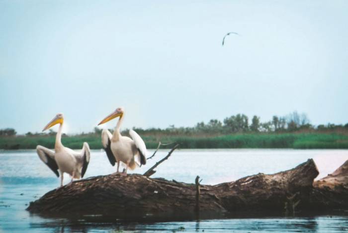 Дунай. Река империй - i_176.jpg