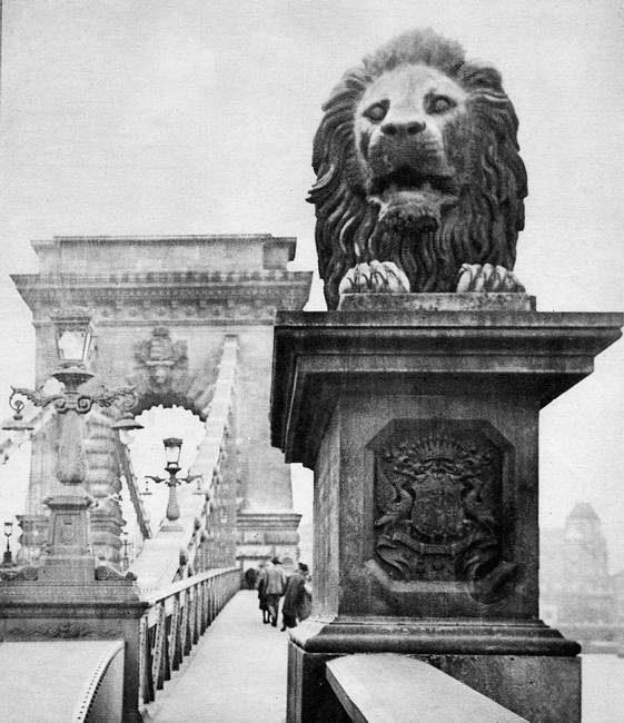 Австро-Венгрия: судьба империи - i_037.jpg