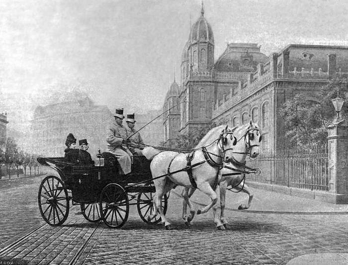 Австро-Венгрия: судьба империи - i_038.jpg