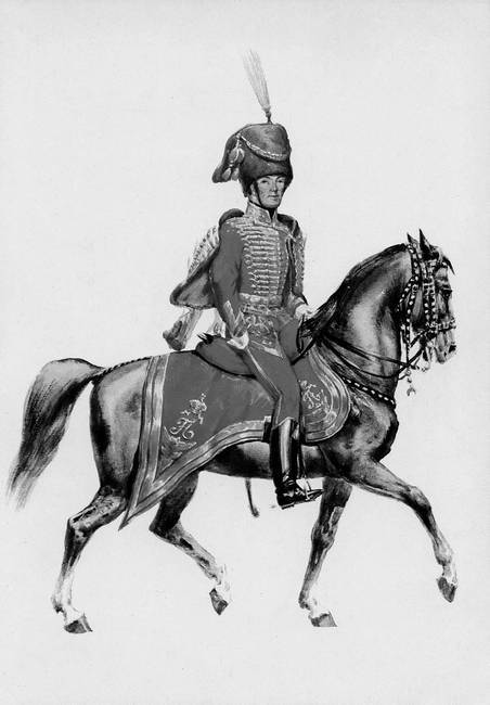 Австро-Венгрия: судьба империи - i_078.jpg