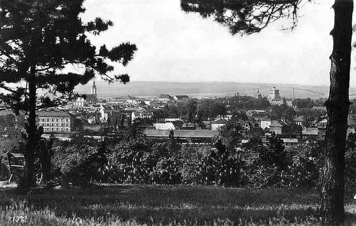 Австро-Венгрия: судьба империи - i_160.jpg