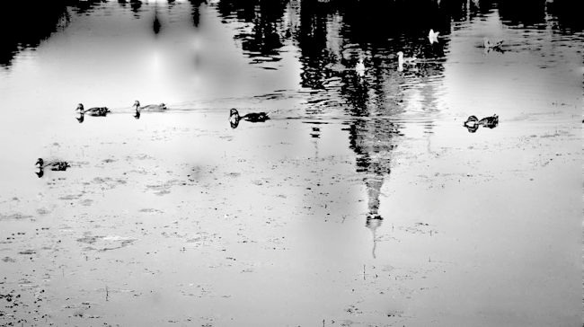 Удивительные путешествия по реке времени - image9_55d197025ad9428c10c46d99_jpg.jpeg