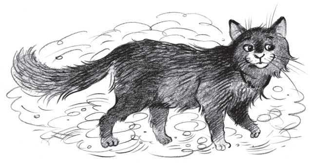 Айрислин – небесный слон - i_016.jpg