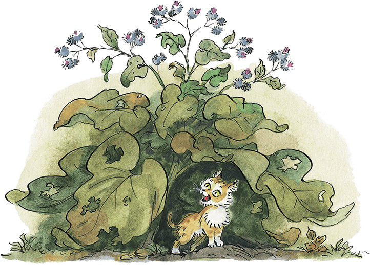 Дом с колокольчиком (сборник) - i_077.png