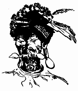 Серед дикунів Нової Гвінеї - im_005.png