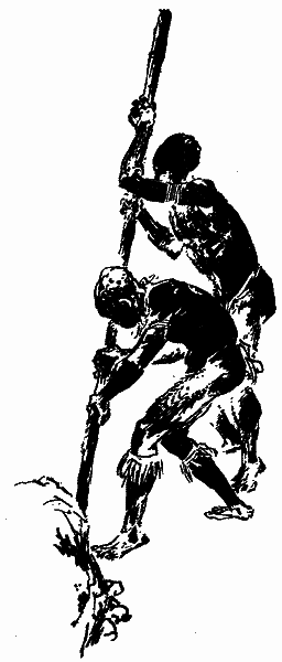 Серед дикунів Нової Гвінеї - im_011.png