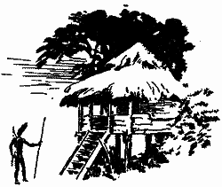 Серед дикунів Нової Гвінеї - im_023.png