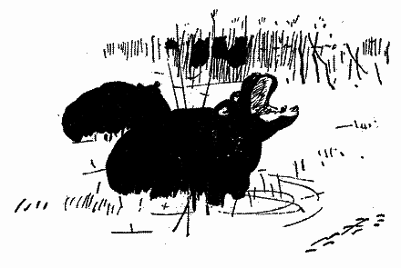 Діаманти Ківі-Ківі - i_017.png