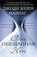 Серия книг Одна ночь #1