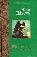 Серия книг Двойник святого