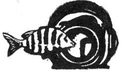 Сокровища погибших кораблей - i_013.png