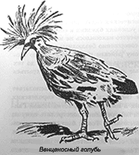 Томек среди охотников за человеческими головами - pic44.png